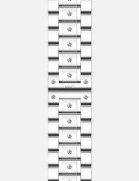 WsC® Fury Silver – 1 Carat Diamond Apple Watch Strap