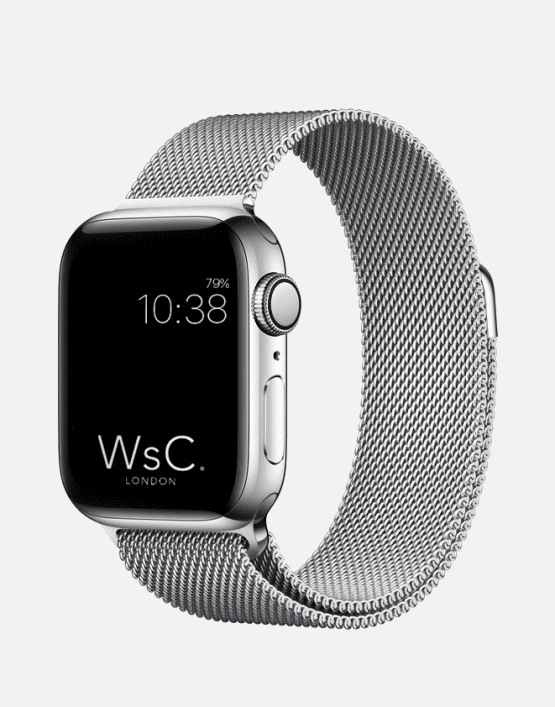 WsC Mesh Loop Silver With Face Curved